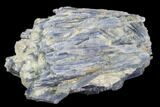 Vibrant Blue Kyanite Crystals With Quartz - Brazil #97963-1